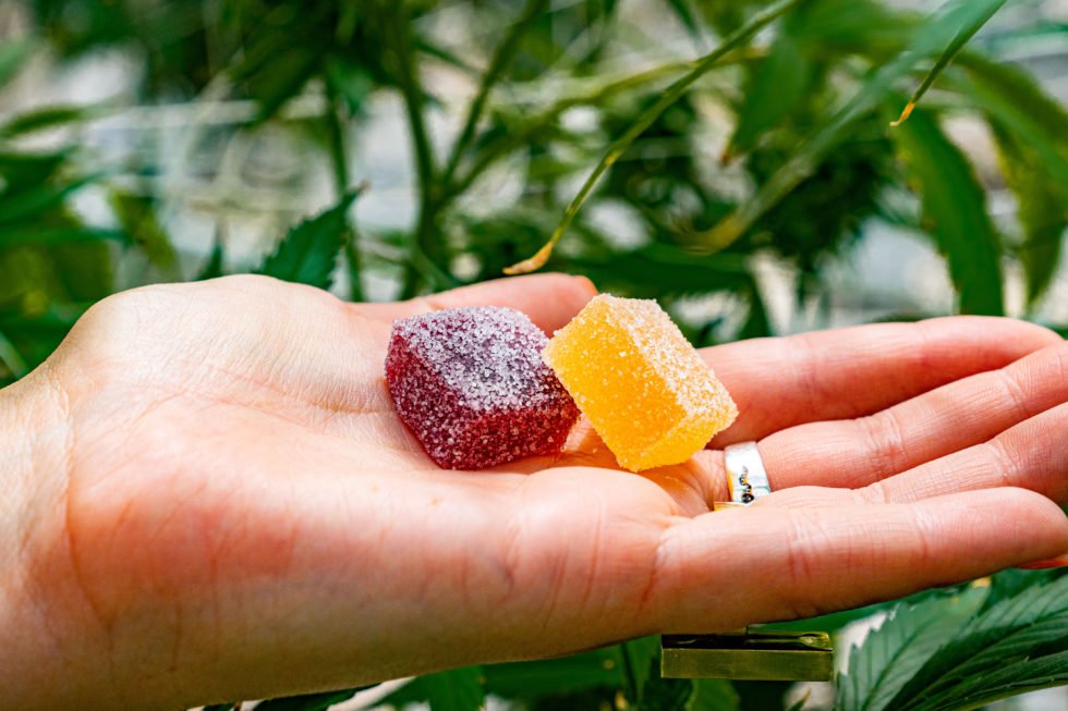 CANNABIS GUMMIES: WHAT CAN THEY DO FOR YOU?