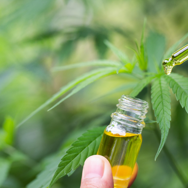 CBD Oil Or Tincture: What's The Difference, How To Choose